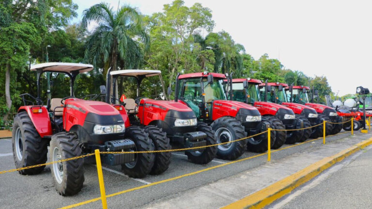 WhatsApp Image 2025-11-25 at 11.